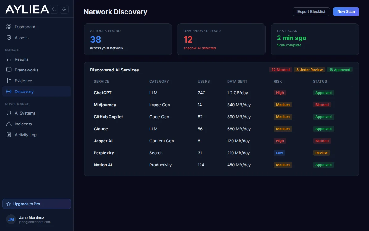 Ayliea network discovery dashboard showing detected AI tools with risk levels and data flow indicators